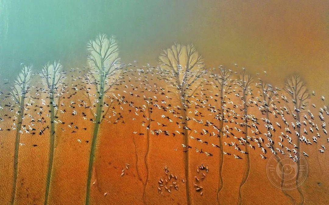 揭晓 | 2023第九届中国国际数码摄影艺术展获奖名单（彩色组）