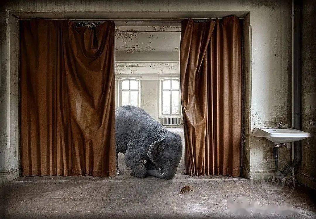 揭晓 | 2023第九届中国国际数码摄影艺术展获奖名单（彩色组）