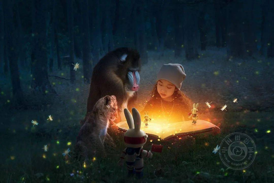 揭晓 | 2023第九届中国国际数码摄影艺术展获奖名单（彩色组）