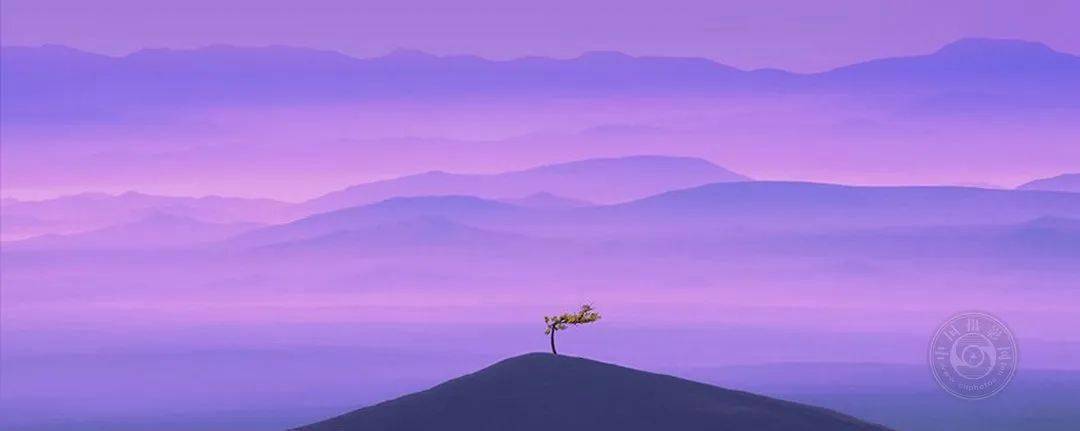 揭晓 | 2023第九届中国国际数码摄影艺术展获奖名单（彩色组）