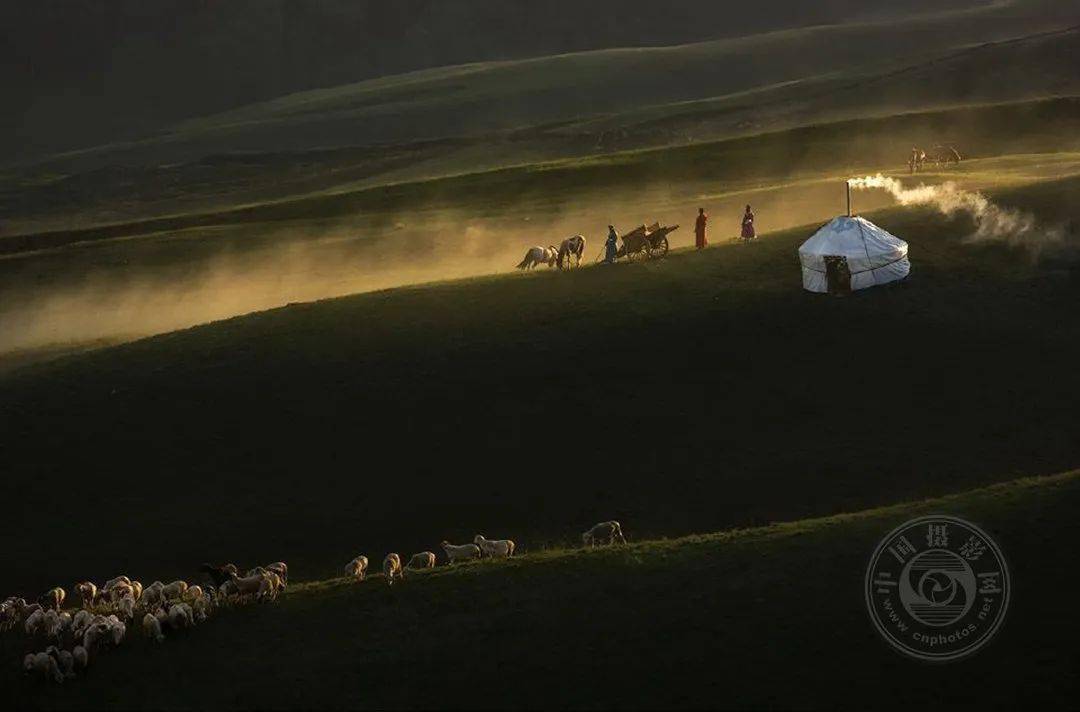 揭晓 | 2023第九届中国国际数码摄影艺术展获奖名单（彩色组）