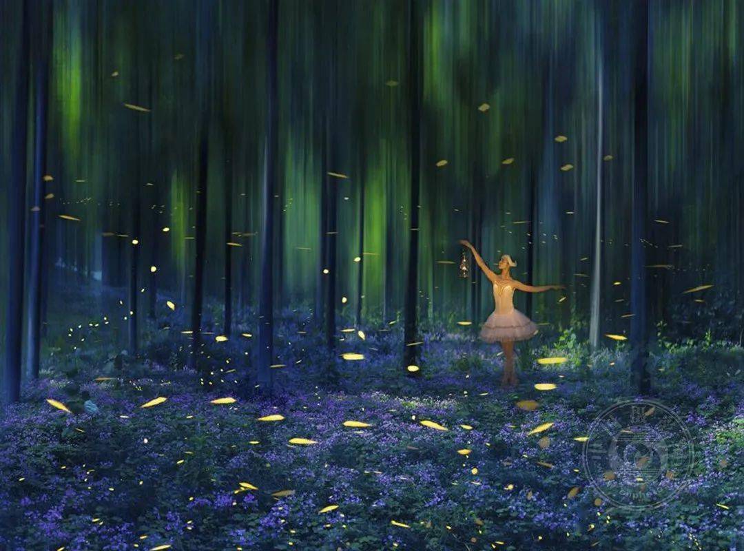 揭晓 | 2023第九届中国国际数码摄影艺术展获奖名单（彩色组）