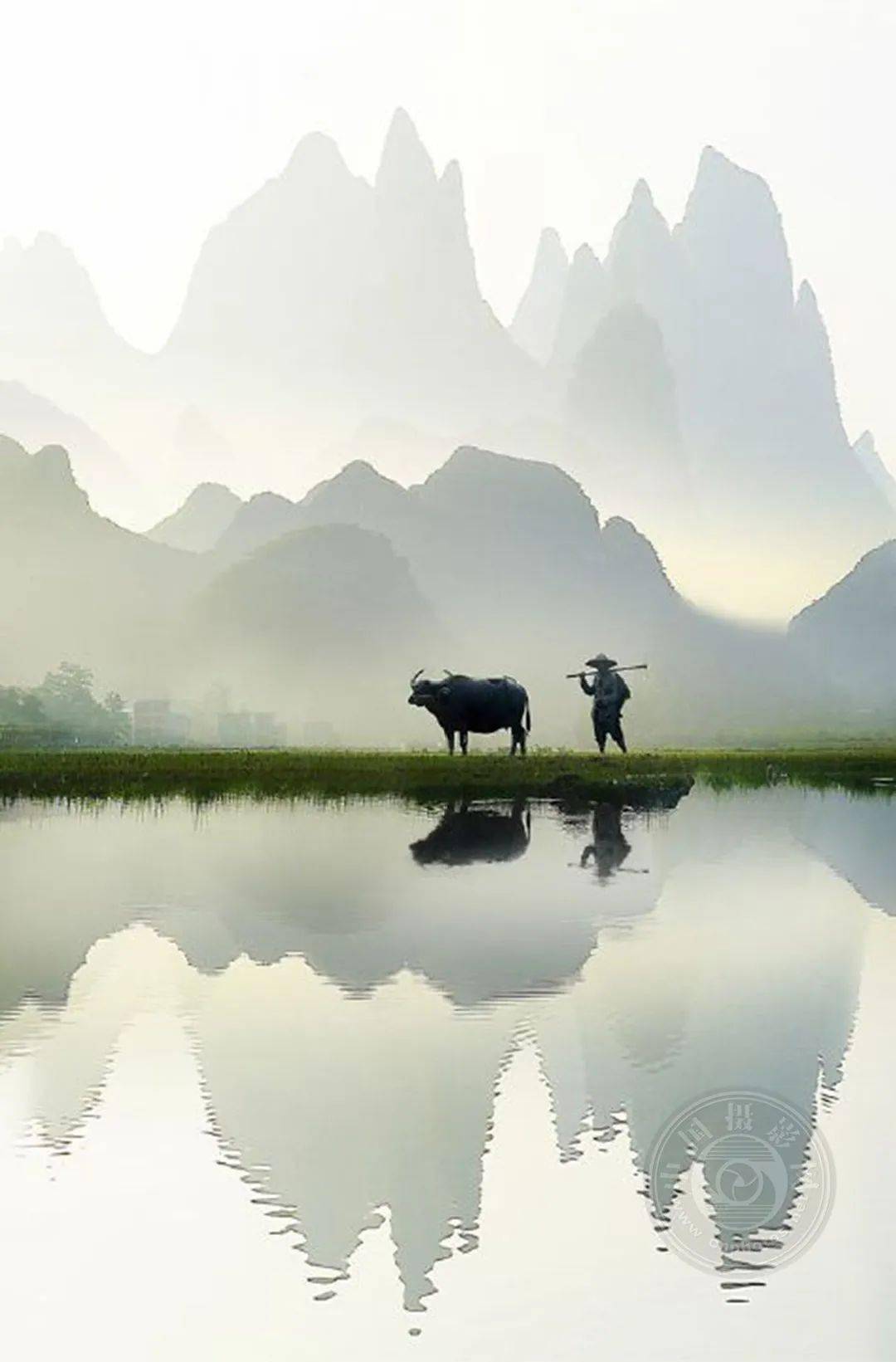 揭晓 | 2023第九届中国国际数码摄影艺术展获奖名单（彩色组）