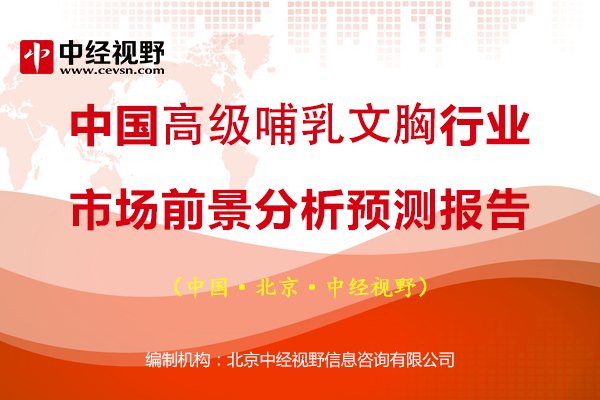 中国高级哺乳文胸行业市场前景分析预测报告