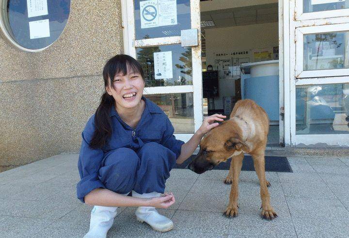台湾女兽医给狗狗安乐死后，被爱狗人士网暴，最终用安乐死自尽
