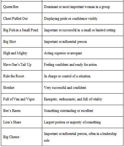 confidence man=普信男？