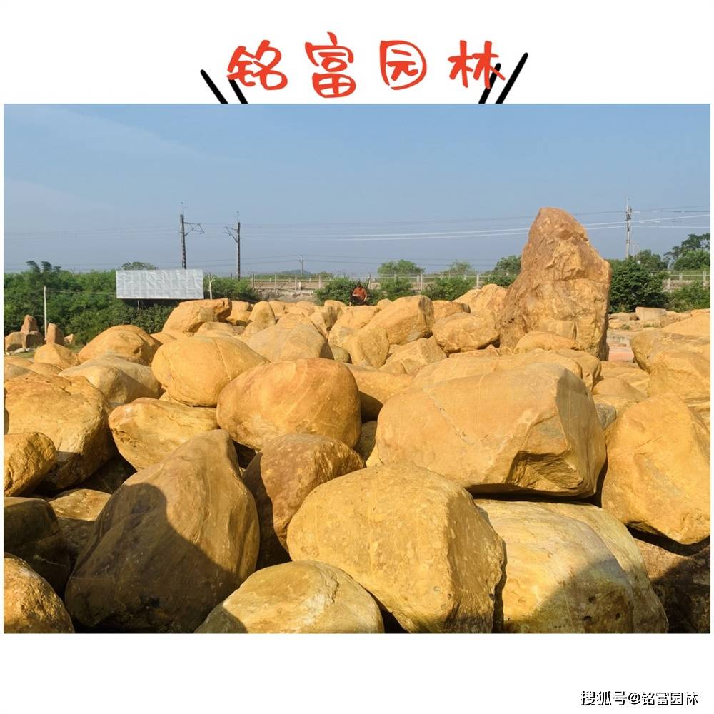 公园小区门牌石置放造景 3-6米的黄蜡石刻字石多少钱 浙江黄石刻字石景观设计