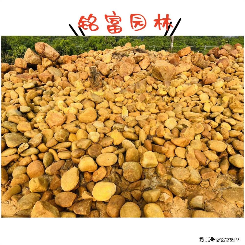 公园小区门牌石置放造景 3-6米的黄蜡石刻字石多少钱 浙江黄石刻字石景观设计