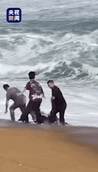 惊险!一次次冲进大海的他,还有另一个身份