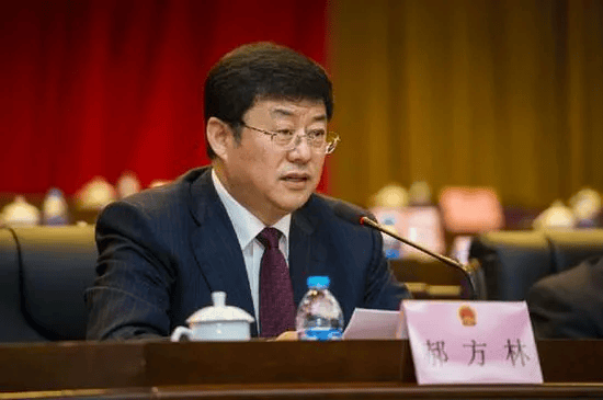 开除党籍，取消享受待遇！曾是“全国优秀县委书记”