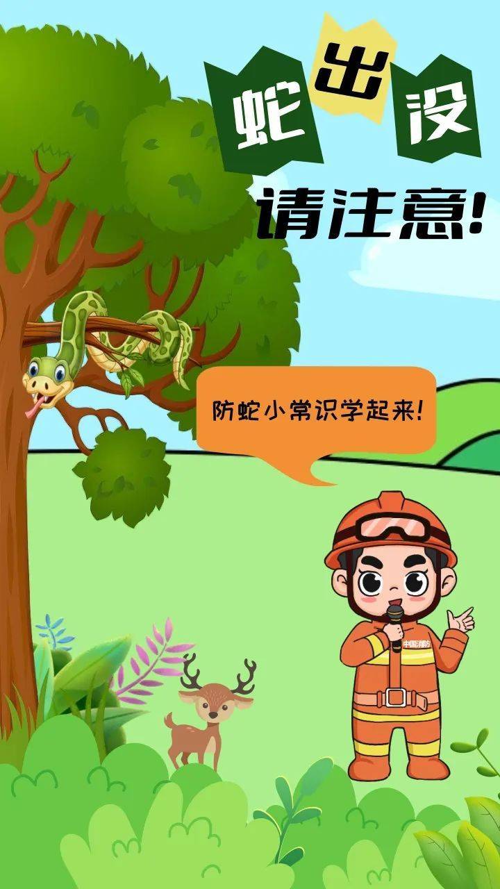 福建一陵园惊现“护墓”巨蟒！预估长度达3米长，体重超50斤