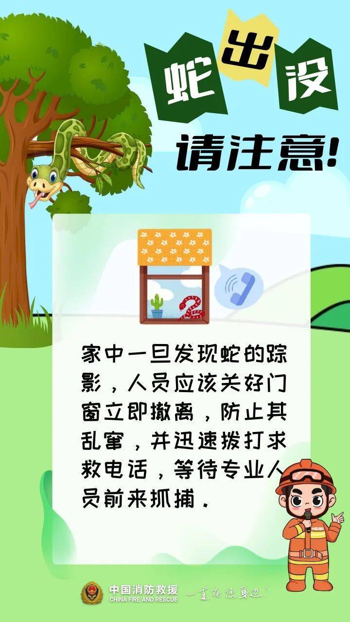 福建一陵园惊现“护墓”巨蟒！预估长度达3米长，体重超50斤