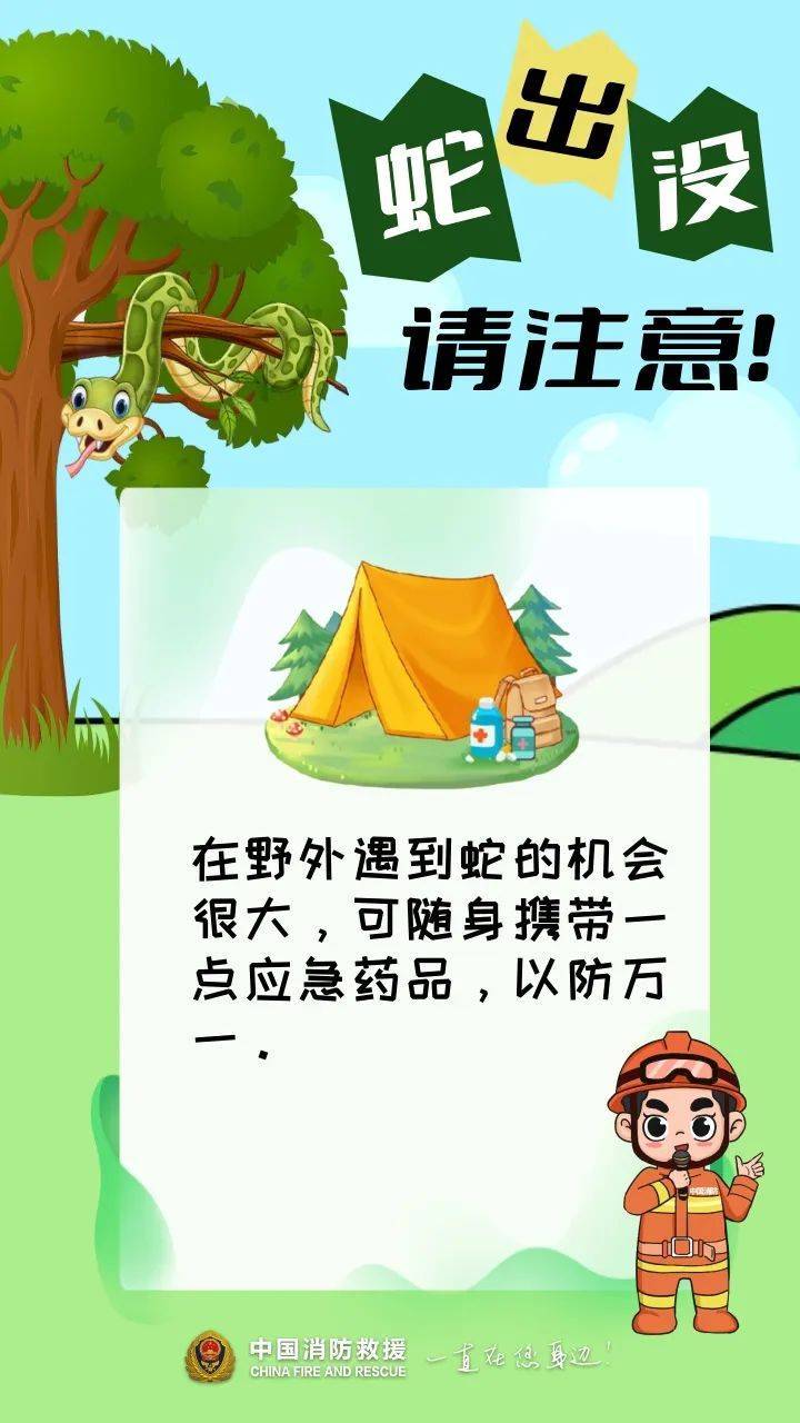 福建一陵园惊现“护墓”巨蟒！预估长度达3米长，体重超50斤