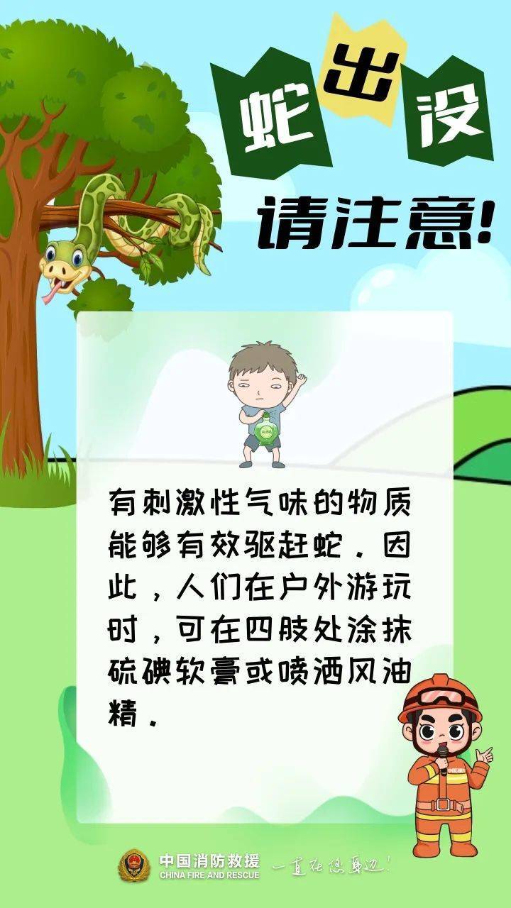 福建一陵园惊现“护墓”巨蟒！预估长度达3米长，体重超50斤