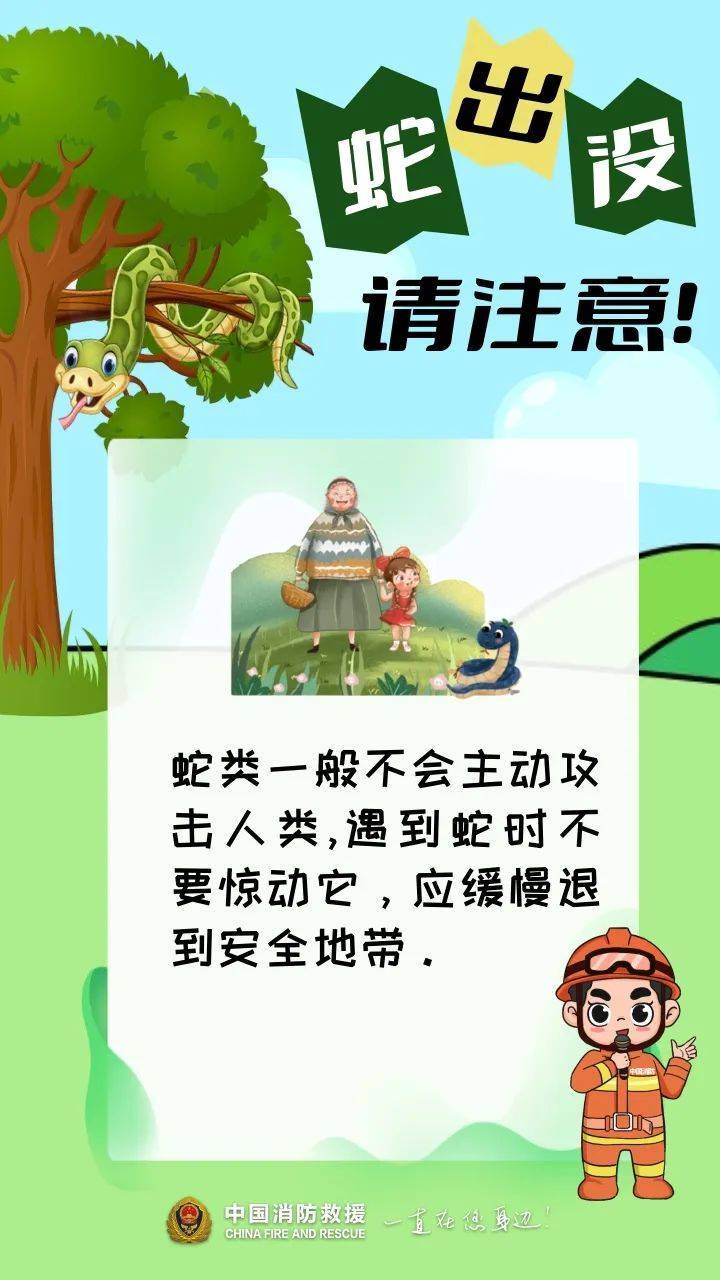 福建一陵园惊现“护墓”巨蟒！预估长度达3米长，体重超50斤