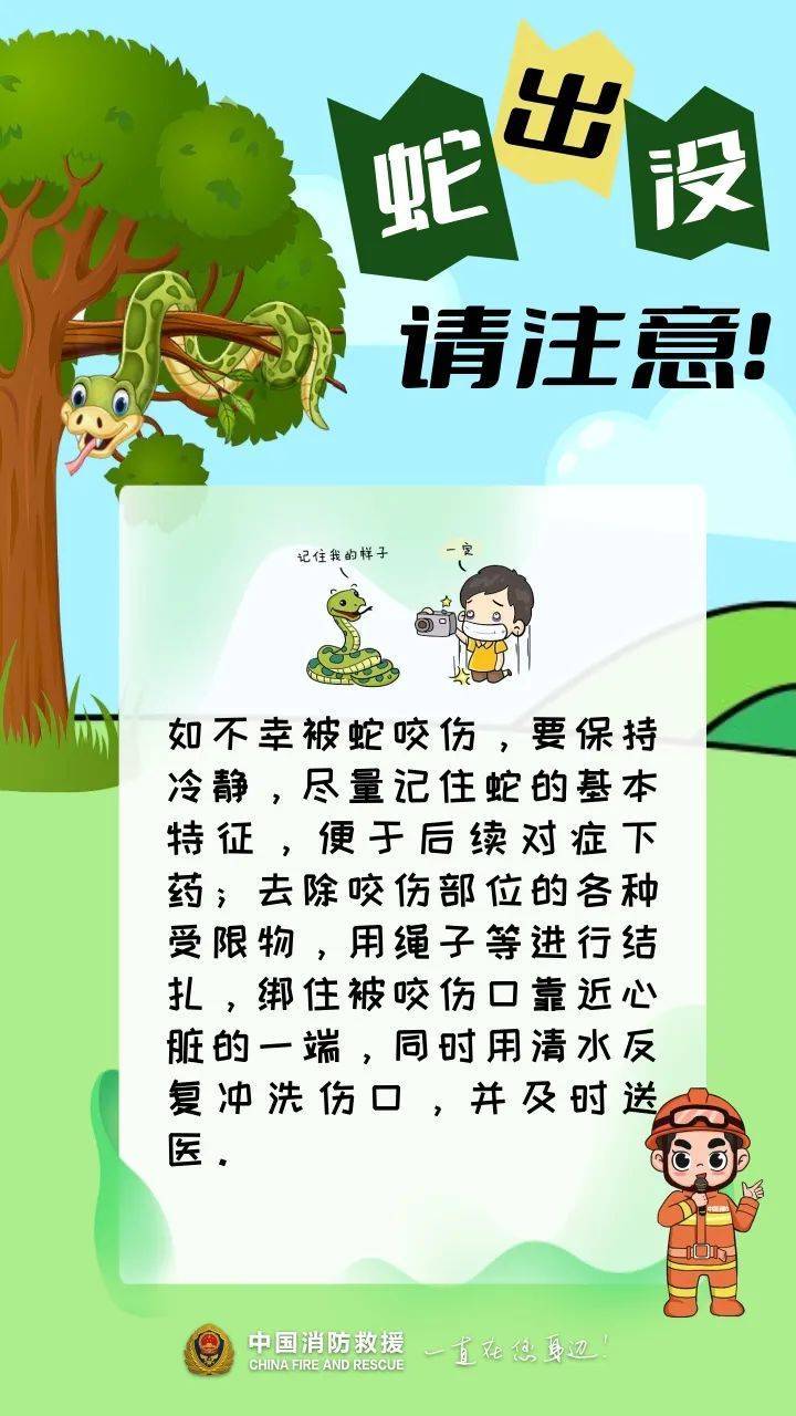 福建一陵园惊现“护墓”巨蟒！预估长度达3米长，体重超50斤