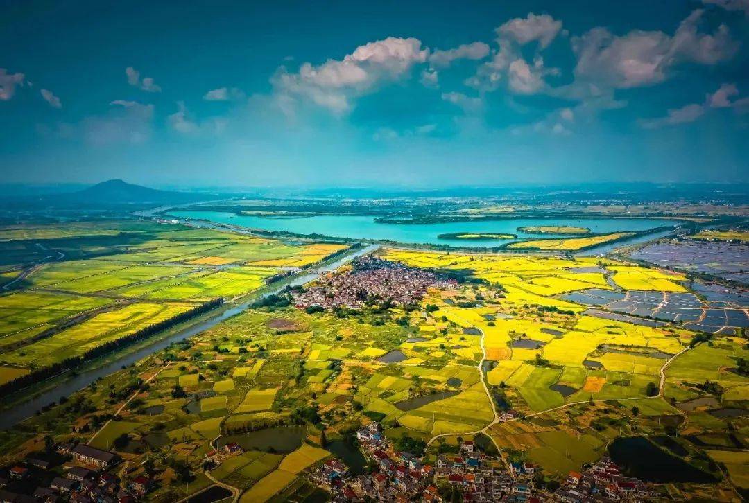 无锡市委书记杜小刚、苏州市委书记刘小涛、淮安市委书记史志军、扬州市委书记王进健、镇江市委书记马明龙带队参加植树活动