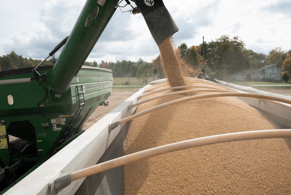 加606%的关税！特朗普对中国下狠手，“最大输家”浮出水面，果然不简单