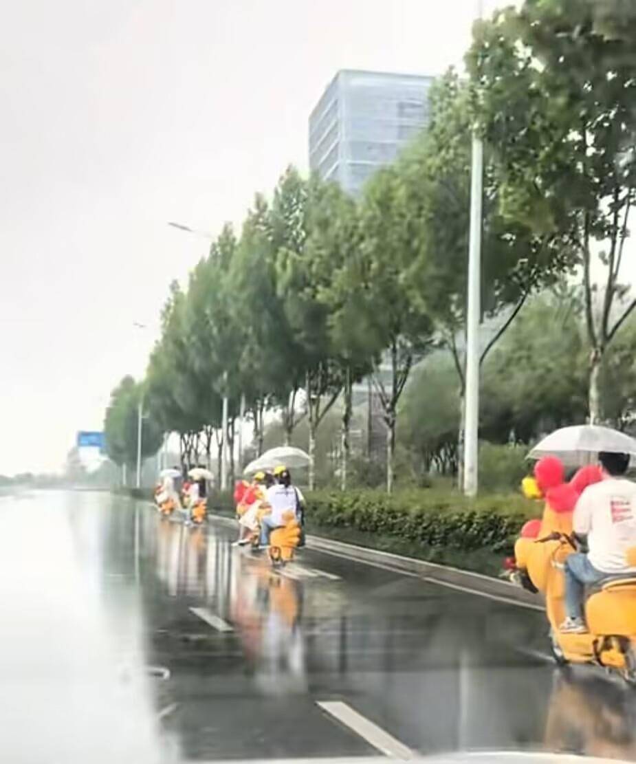 合肥一对新人雨中骑“鸡动车”去结婚,新人:很浪漫,挺有氛围