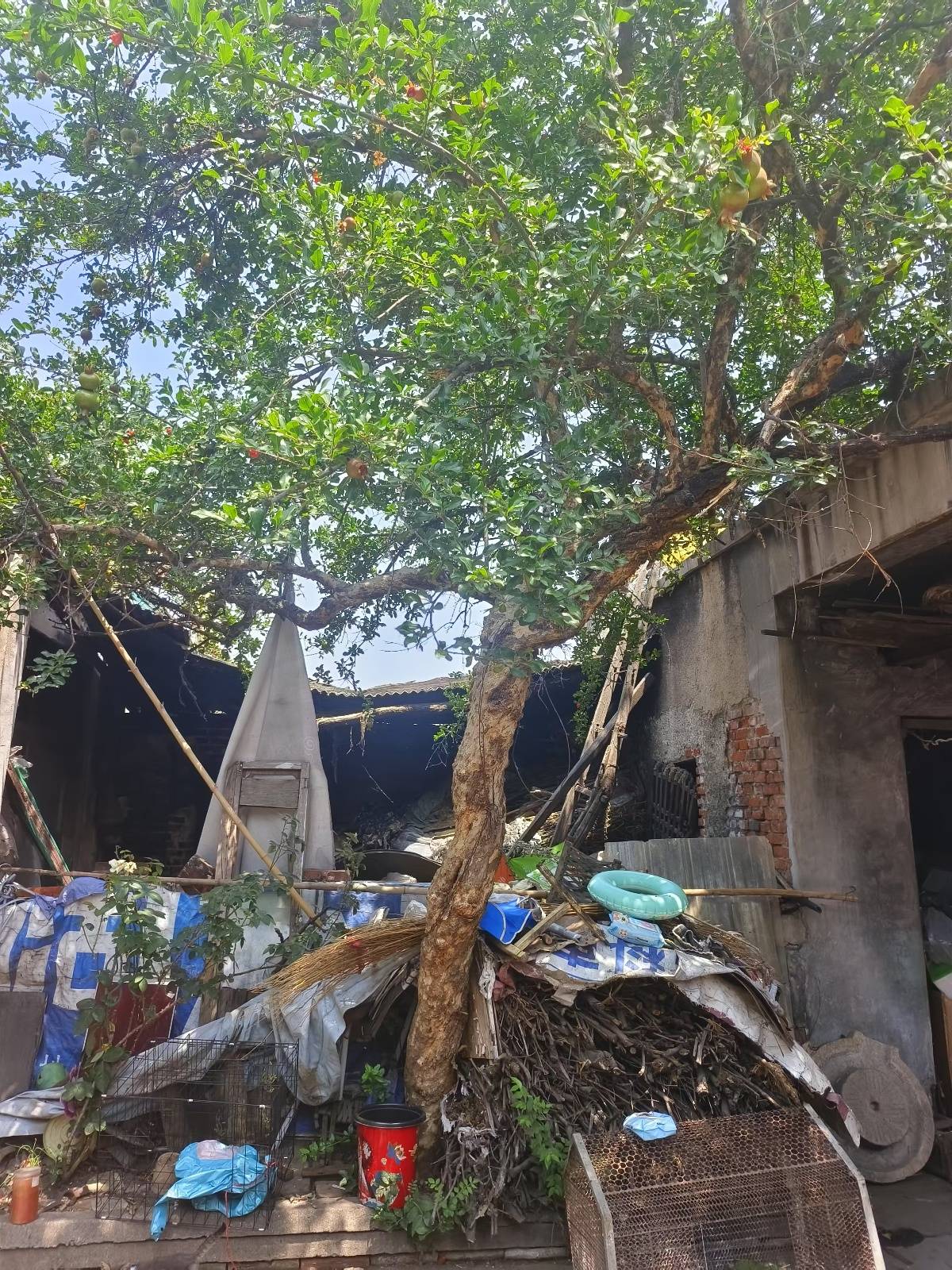 女子回应求交房视频被指“擦边”:什么样的人就会有什么眼光