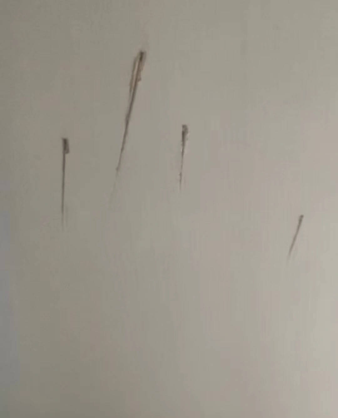 陕西一护士被同居男友杀害，日记称长久遭受暴力威胁，家属希望追加虐待罪名，最新进展