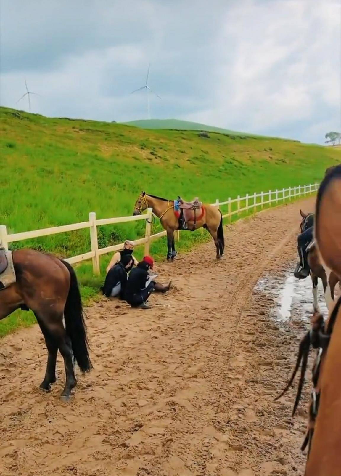 河北坝上草原被撞死“貂蝉”马主发声：游客已赔马钱，市场价4万元