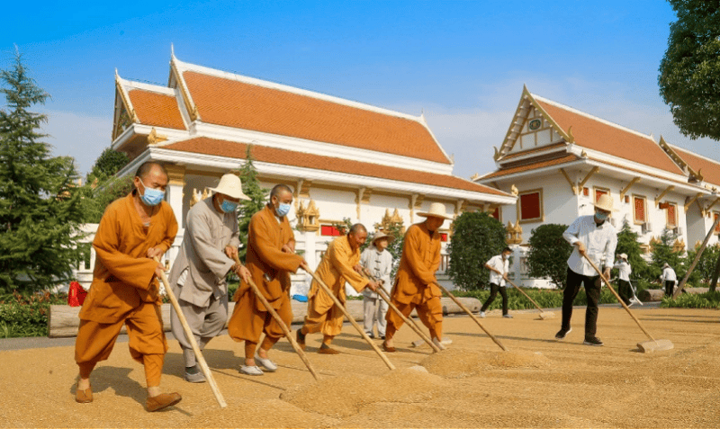 两座千年古刹今与昔：实探经历掌门变换的少林寺和白马寺
