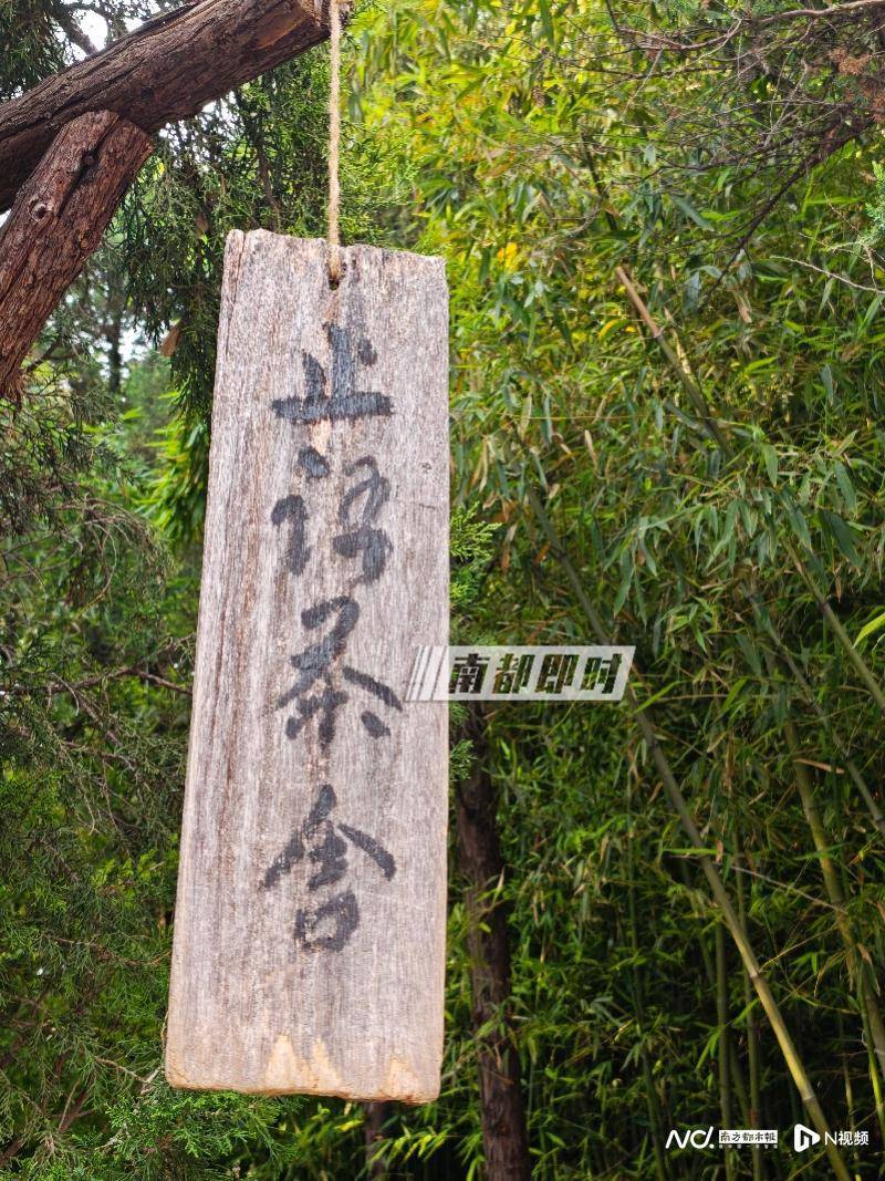 两座千年古刹今与昔：实探经历掌门变换的少林寺和白马寺