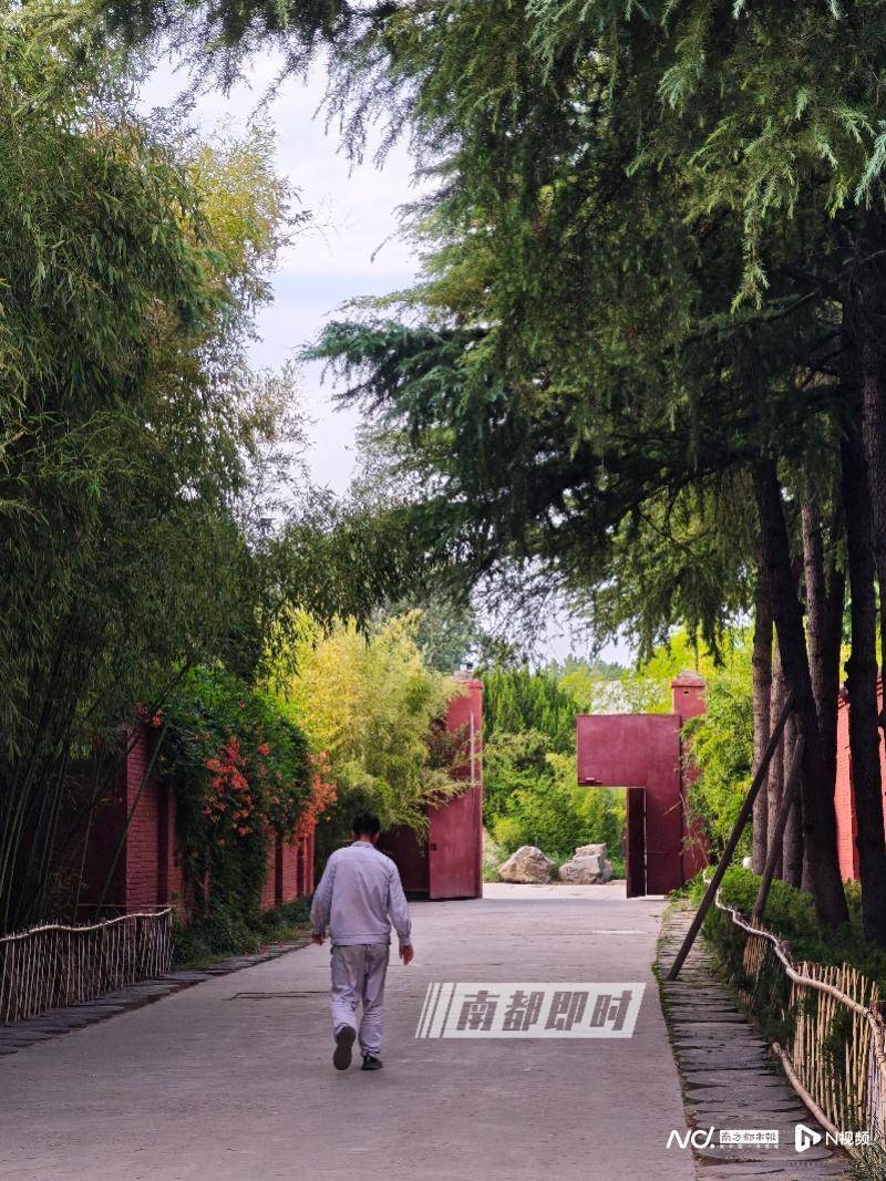 两座千年古刹今与昔：实探经历掌门变换的少林寺和白马寺