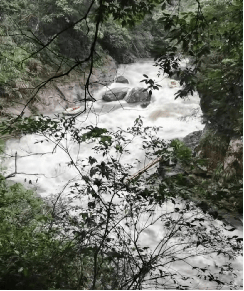 99元豪华游，被骗到内裤不剩