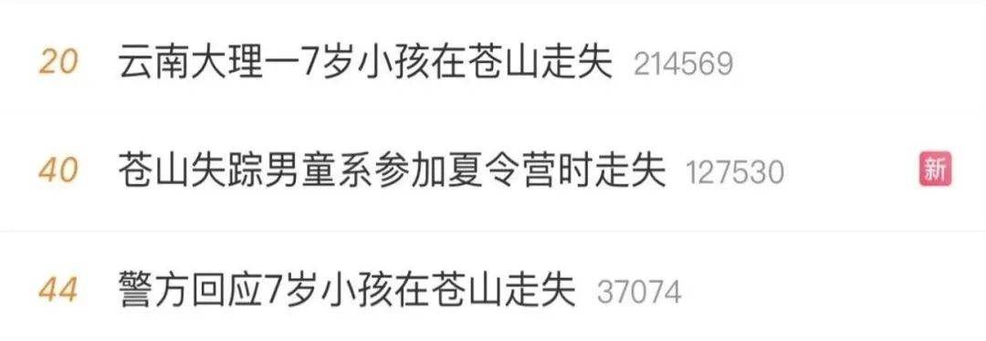 紧急寻人!男童参加夏令营山上走失!最新进展→