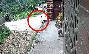 湖南新韶突然失踪的2岁女孩平安找到，当地公安：在距离家1公里外的山林石缝中发现