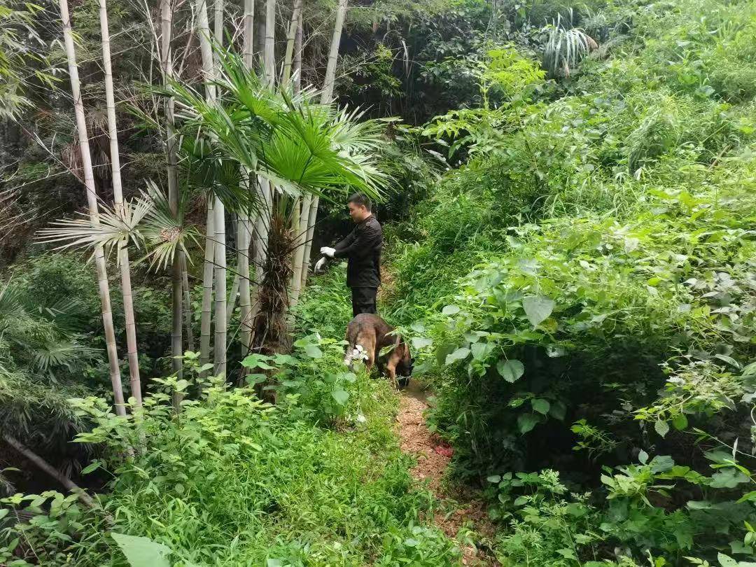 湖南新韶突然失踪的2岁女孩平安找到，当地公安：在距离家1公里外的山林石缝中发现