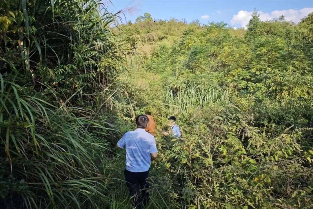 无人机精准锁定，“牛”到家啦！