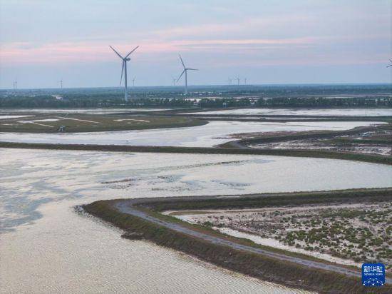 保护修复湿地生态 促进人与自然和谐共生
