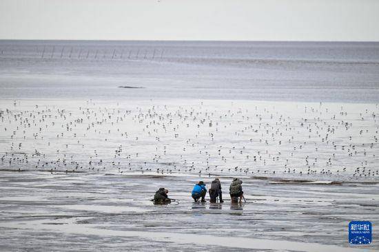 保护修复湿地生态 促进人与自然和谐共生