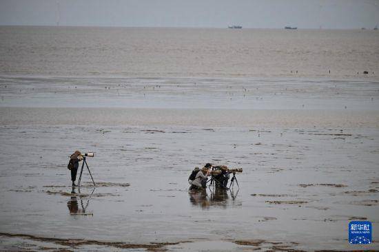 保护修复湿地生态 促进人与自然和谐共生