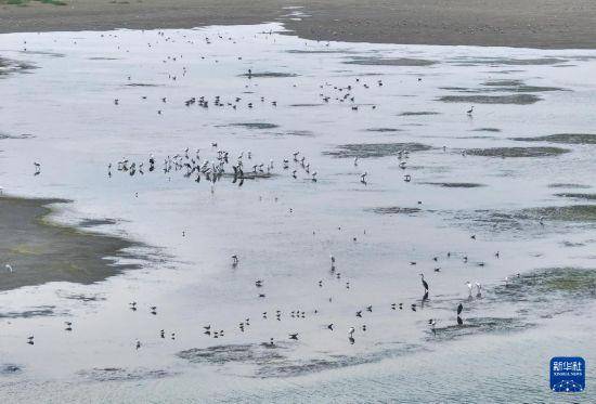 保护修复湿地生态 促进人与自然和谐共生