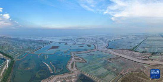 保护修复湿地生态 促进人与自然和谐共生