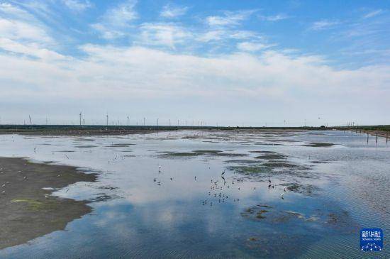 保护修复湿地生态 促进人与自然和谐共生