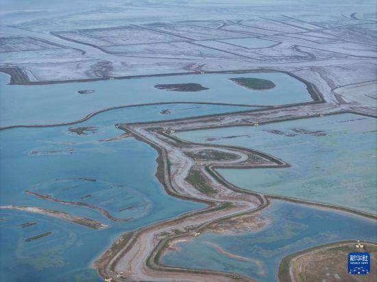 保护修复湿地生态 促进人与自然和谐共生