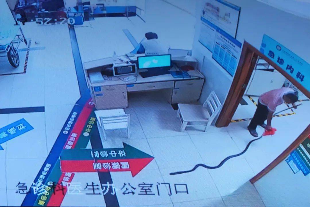 眼镜王蛇咬伤老人，家属拖两米多长的“凶手”冲进医院！“拎蛇就医”可取吗？