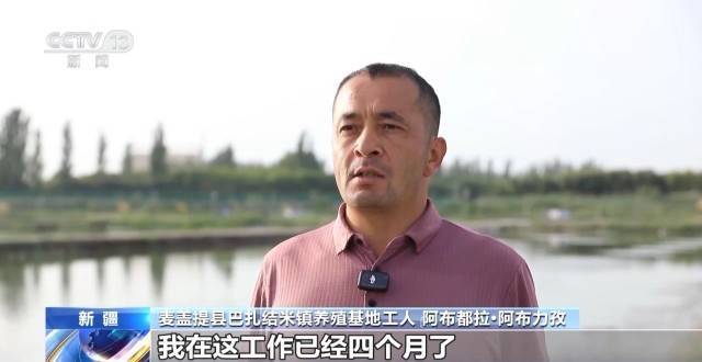 砥砺奋进七十载 天山南北谱华章丨沙漠里养虾让百姓的日子越过越红火