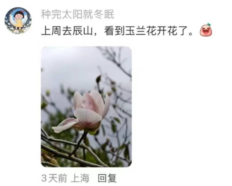 上海：节后气温将冲高至33℃！今夏已长达150天，玉兰蔷薇樱花荷花全开了……