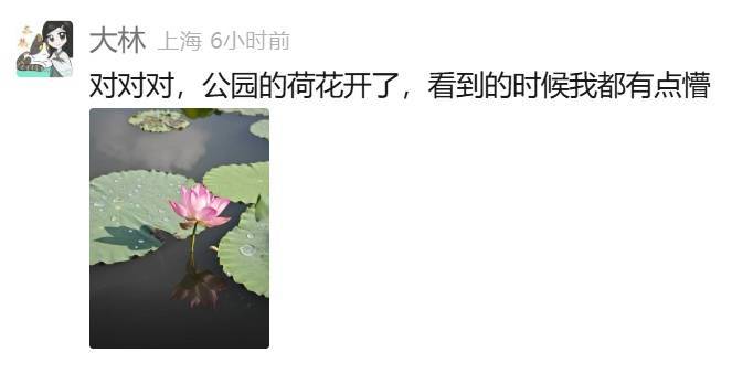 上海：节后气温将冲高至33℃！今夏已长达150天，玉兰蔷薇樱花荷花全开了……