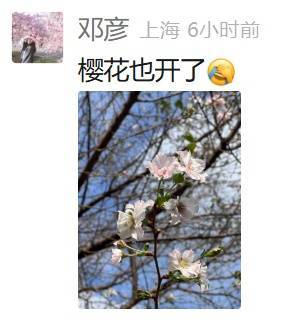 上海：节后气温将冲高至33℃！今夏已长达150天，玉兰蔷薇樱花荷花全开了……