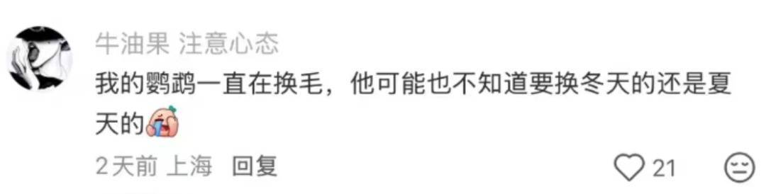 上海：节后气温将冲高至33℃！今夏已长达150天，玉兰蔷薇樱花荷花全开了……