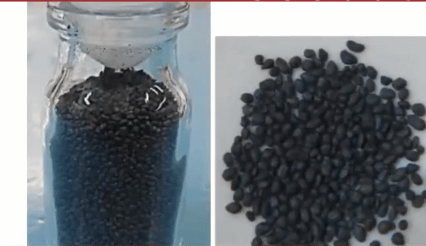 巴西36岁“蛇蝎美人”“以杀人为乐”，5个月内毒死4人，还曾用10条狗试毒