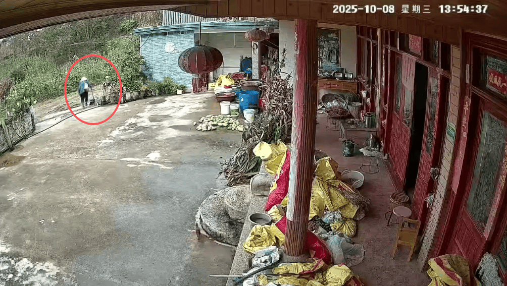 93岁老人进山失联，两天后发现他倒挂在树杈上苦撑……