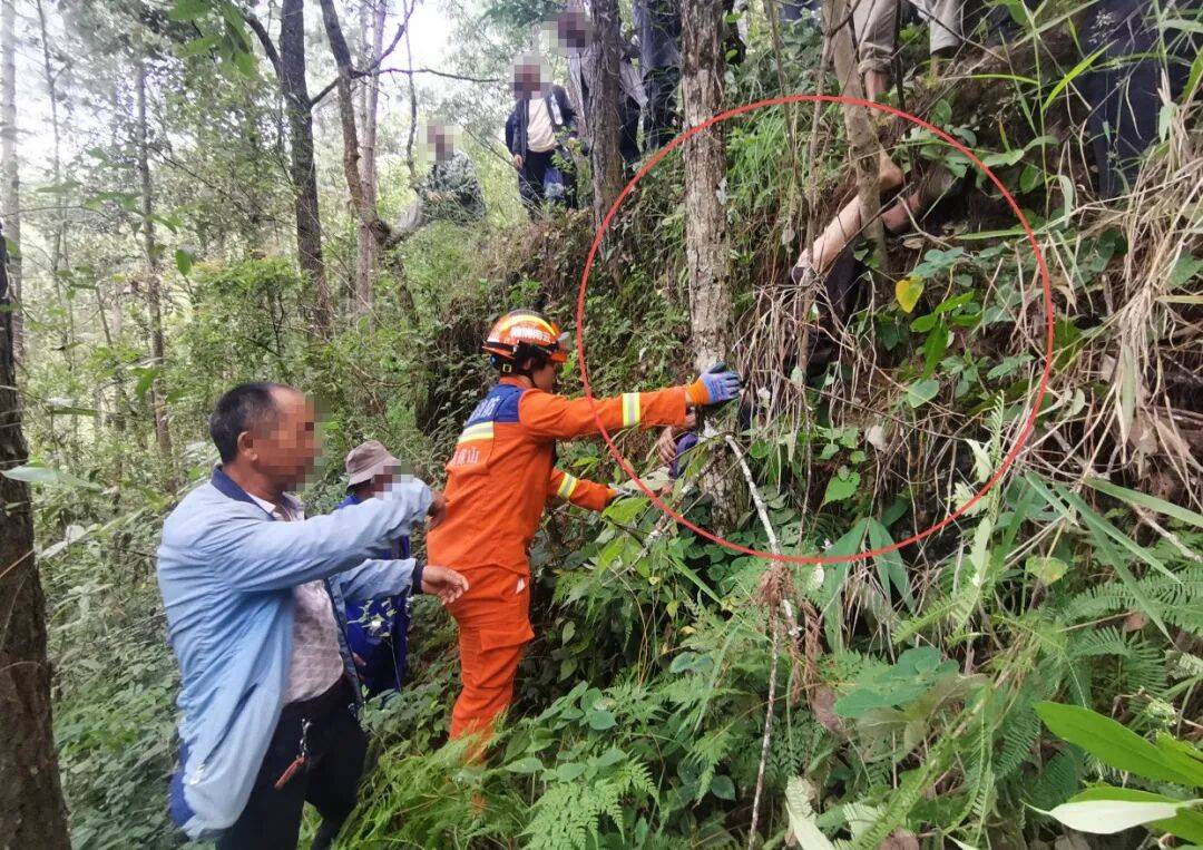 93岁老人进山失联，两天后发现他倒挂在树杈上苦撑……